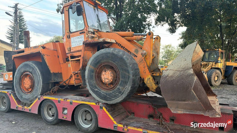 Zettelmeyer ZL 2002 Skrzynia Biegów ZF 4 WG 180 Jastrzębniki