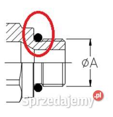 Szybkozłącze gniazdo M22x15 3CFHF0812215F