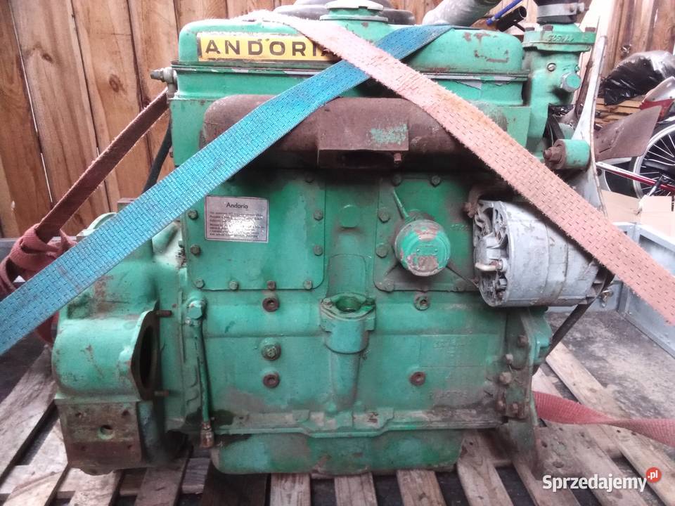 Silnik SW266 Andoria Leyland Komórki