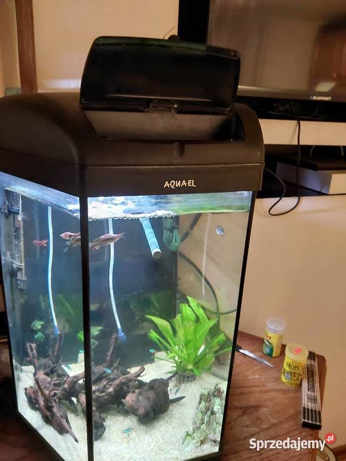 Akwarium 60 l oświetlenie napowietrzacz Mszana Dolna