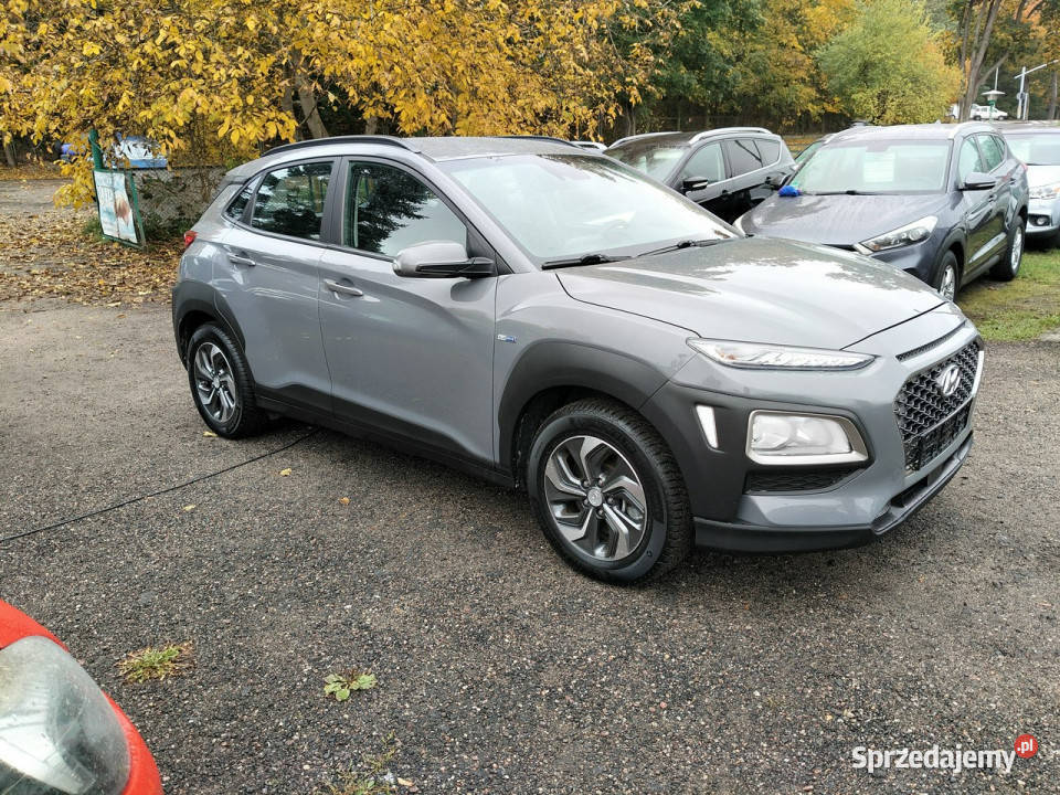 Hyundai Kona Hybryda niski przebieg I 20172023 Piła