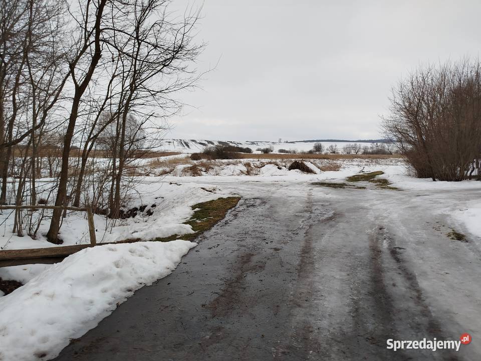 Sprzedam siedlisko z polem ornym klasy Nieruchomości Telatyn