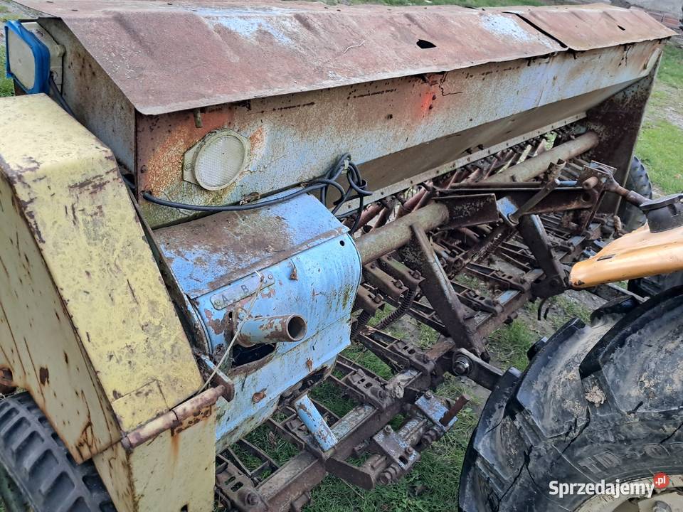 Siewnik poznaniak Koszyce Małe