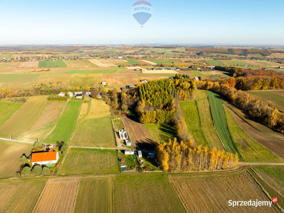 Działka z bijącym źródłem i kawałkiem lasu Stoki