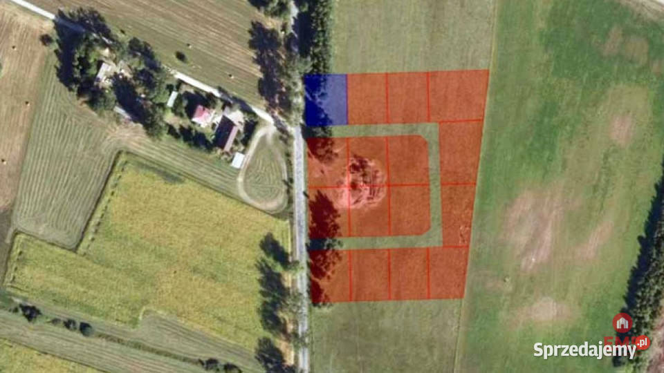 Grunt Rafałówka 1000m2 sprzedam