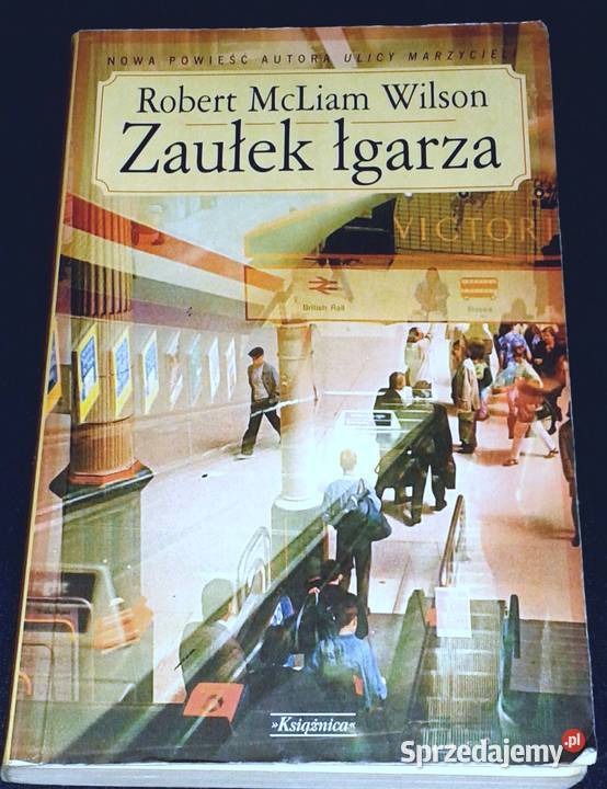 Zaułek łgarza Robert McLiam Wilson Chełm