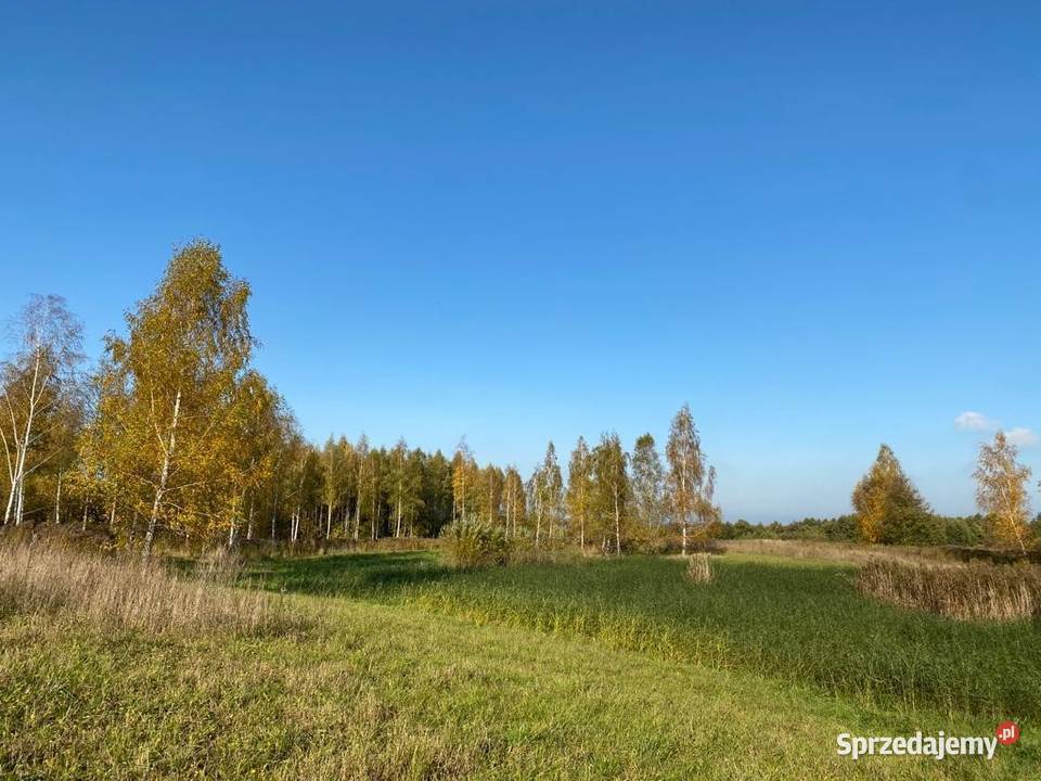 Dzialka Budowlana Osada Brzozowa Dolina Ogonki sprzedam