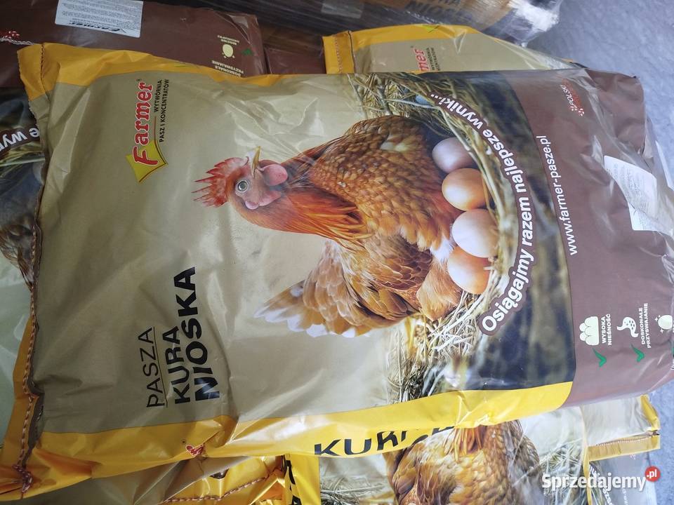 Sprzedaż paszy Karmy i pasze Karmy i pasze Iława