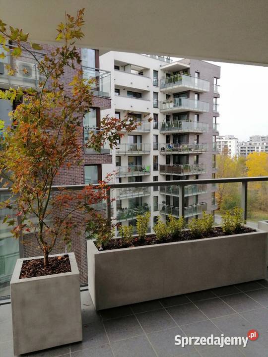 Donica nowoczesna 100x50x50h dolnośląskie