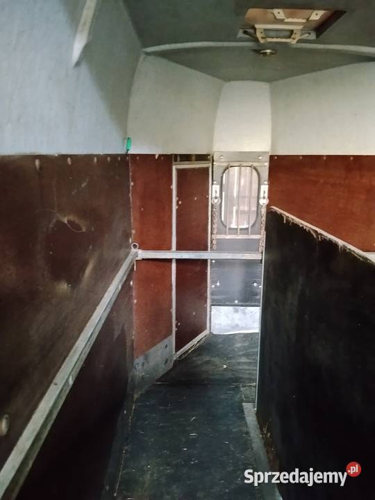 Przyczepa koni Kędzierzyn-Koźle