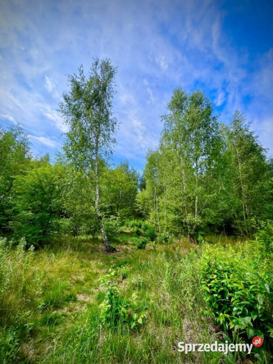 Działka pod zabudowę jednorodzinną 5057 m Mariew Grunty i działki