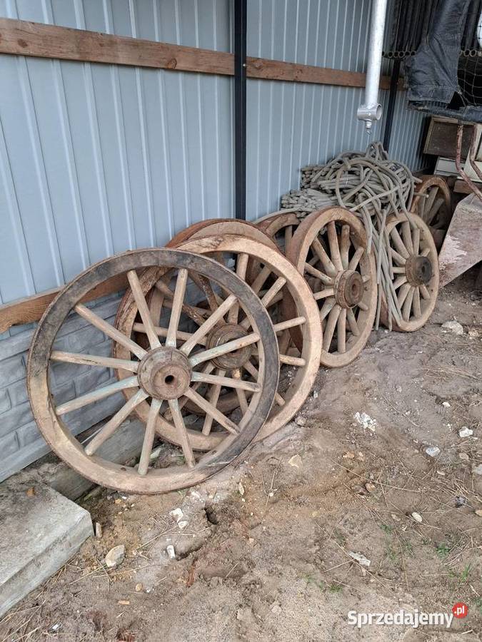 Koła drewniane Mniszek