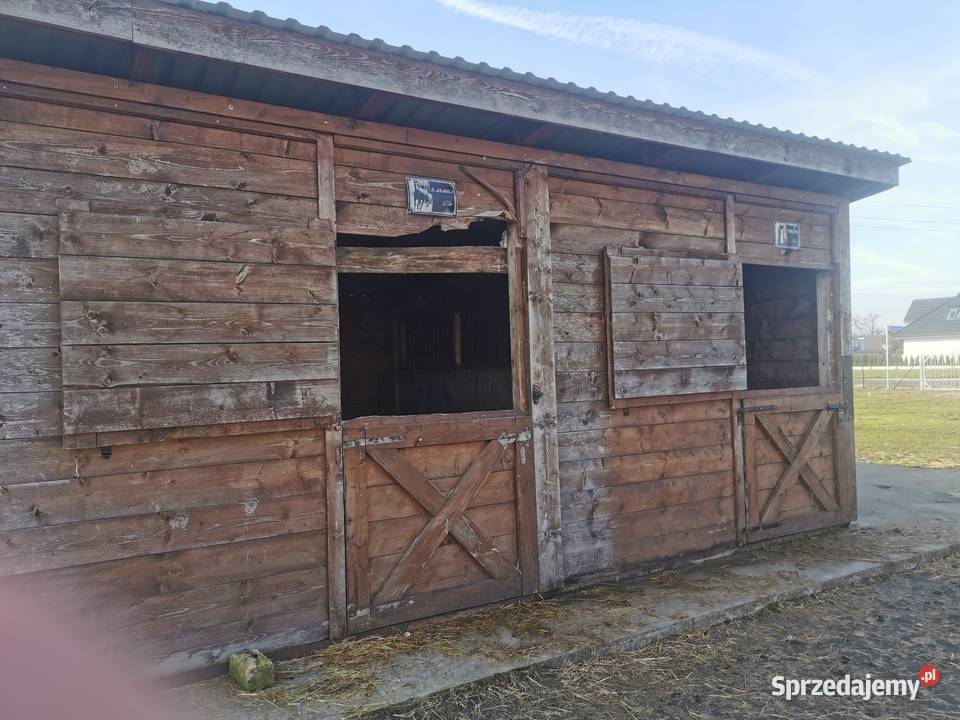 Stajnia angielska dwuboksowa Sprzedaż