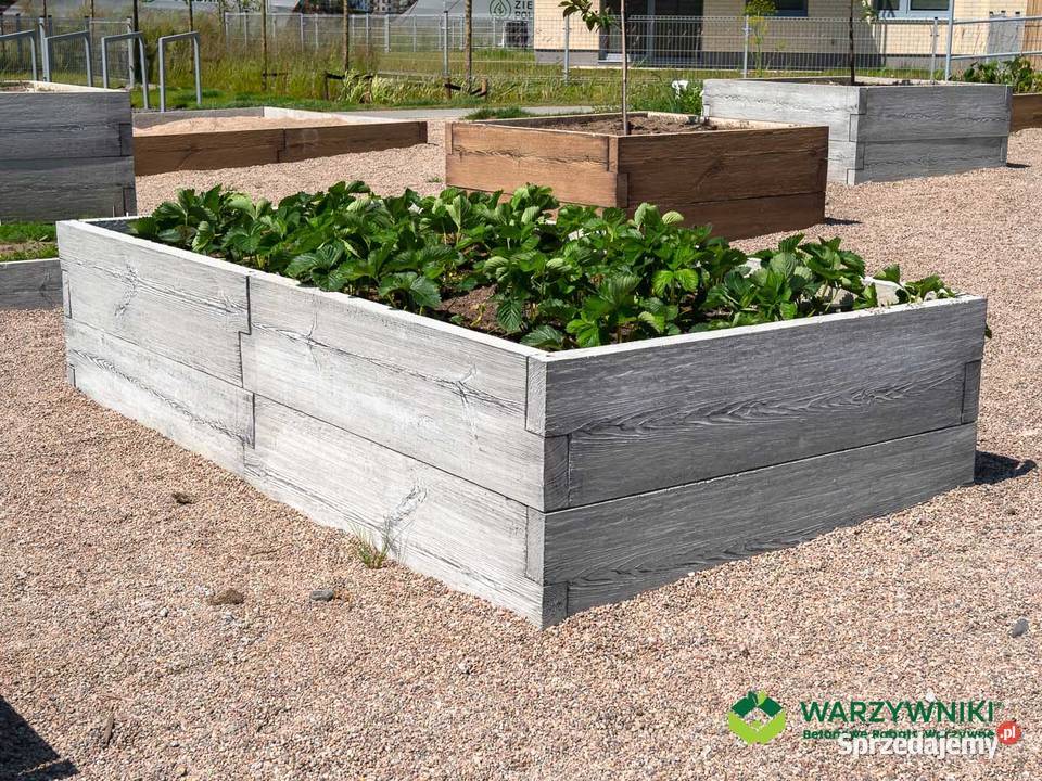 Skrzynie na warzywa betonowe warzywniak Rzeszów