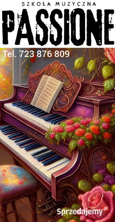 Skrzypce gitara pianino perkusja wookal lekcje Strzyżów