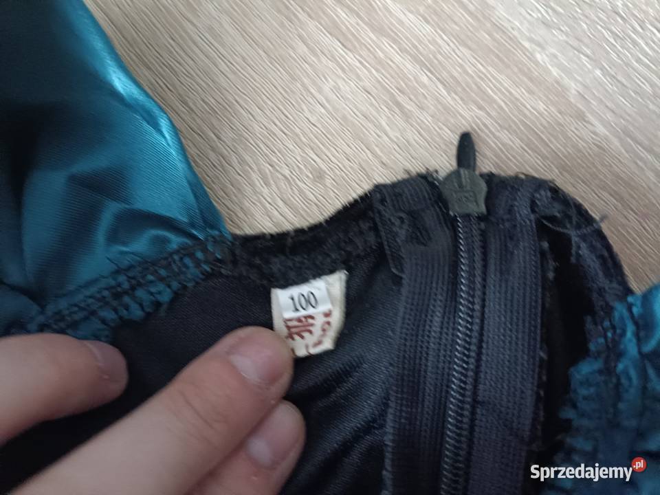 Strój karnawałowy Anna Kraina Lodu 100 pomorskie Kwidzyn