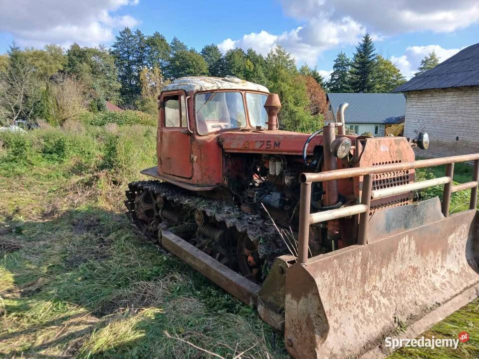 SPYCHACZ DT 75 M lubelskie Piaski