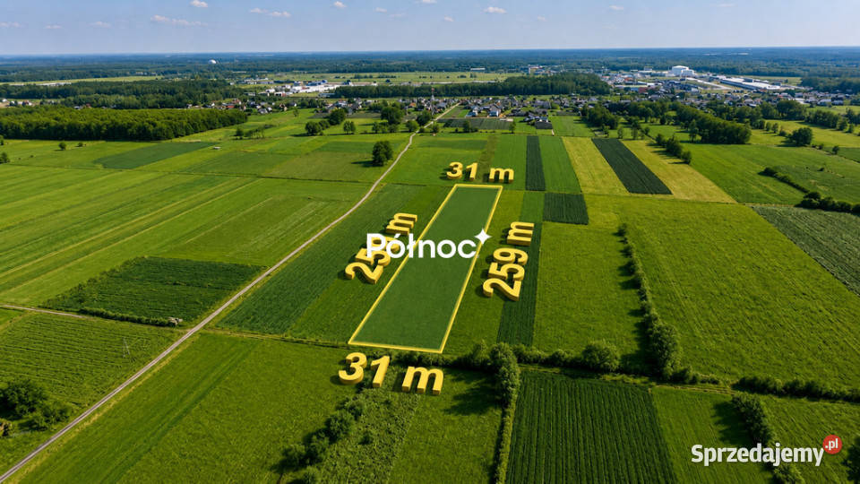 Łąka 8000m2 w Małaszewiczach Dużych Małaszewicze Duże