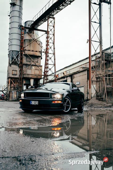 Ford Mustang Bullitt 2008r 46 V8 seryjny 3797