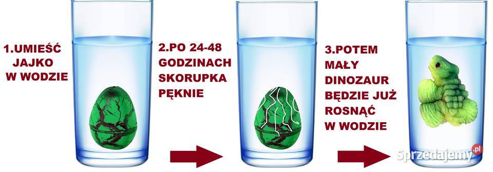 Dinozaur Jajo do Wyklucia Wzrostu MAGIC DINOSAUR Mogilany sprzedam