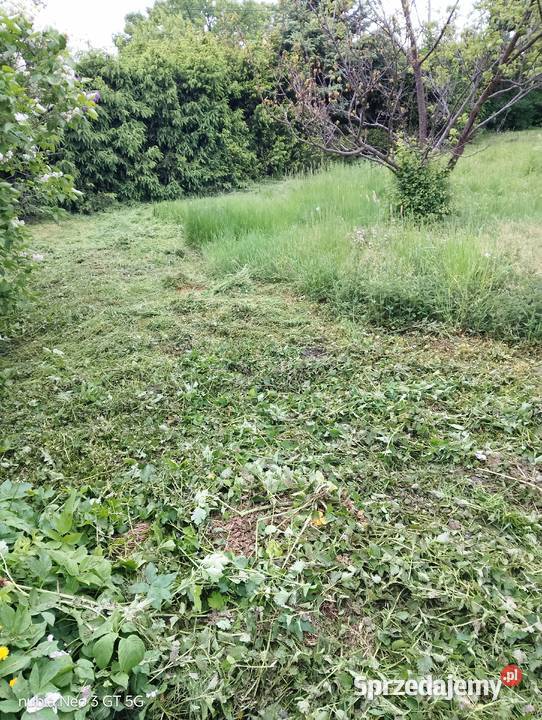 Koszenie kosą spalinową lubuskie Gorzów Wielkopolski sprzedam