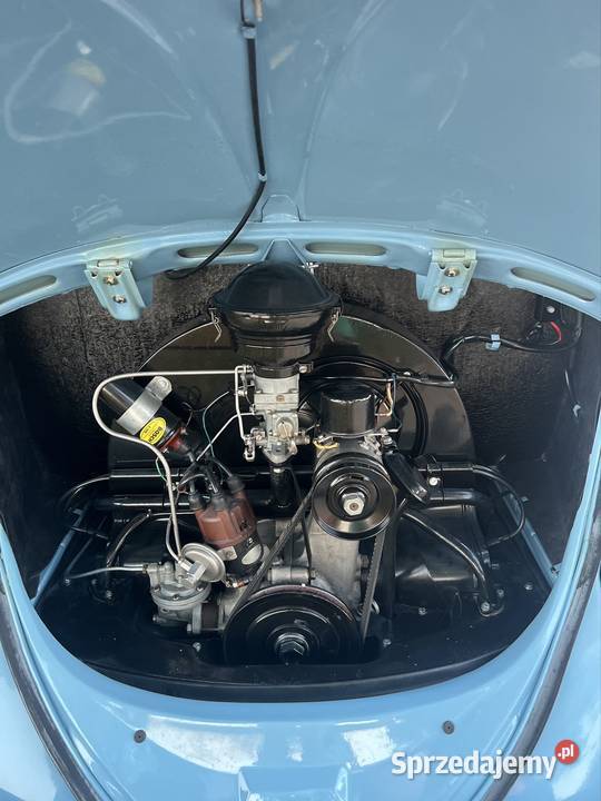 Volkswagen Garbus Oval 1954 sprzedam