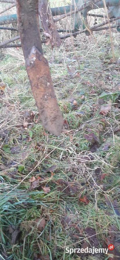 Kultywator agregat z wałkiem wałem Agregaty Wieprz