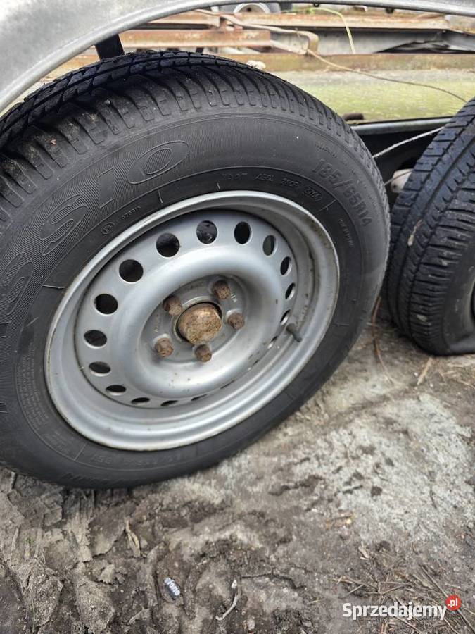 Laweta Przyczepa Westfalia 1600kg zachodniopomorskie Chojna