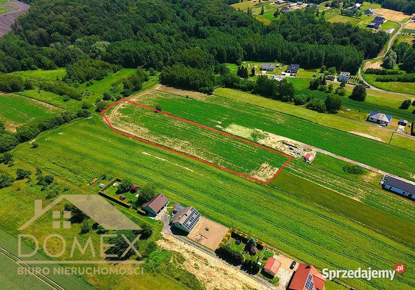Grunt 7060m2 Skrzyszów