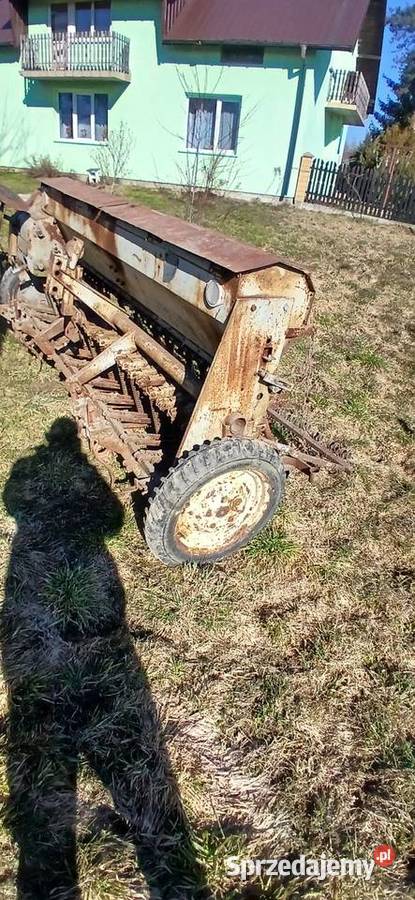 Siewnik poznaniak Pilzno