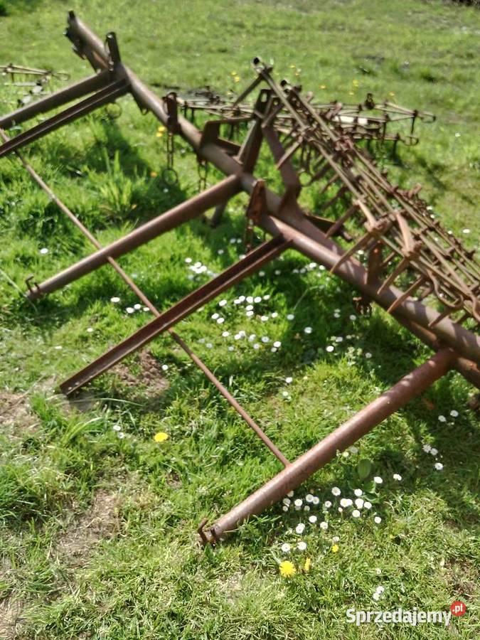 Brony Grudziądz Niepołomice