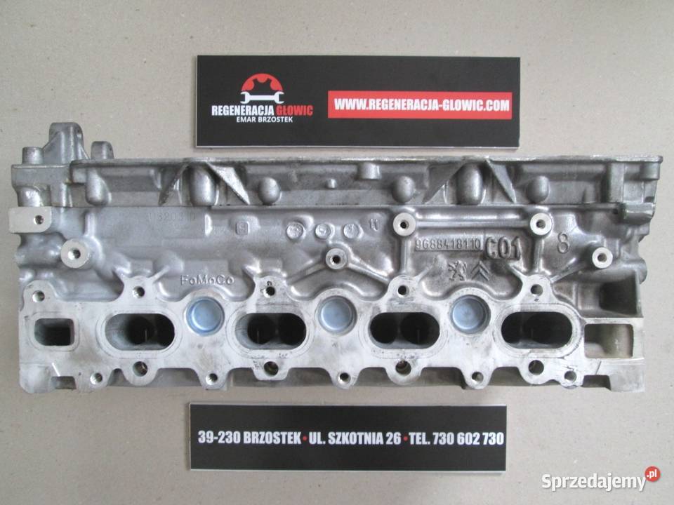 GŁOWICA 20 HDI TDCI 16V 9688418110 Citroen Brzostek sprzedam