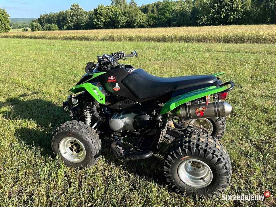 Artic cat dvx 250 z homologacją jedna z niewielu Arctic Cat Arctic Cat świętokrzyskie Kielce