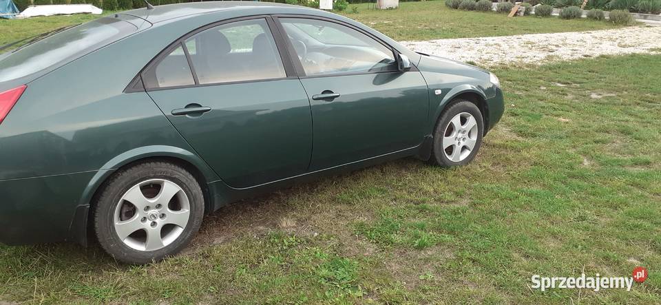 Nissan primera nieuszkodzony Kije