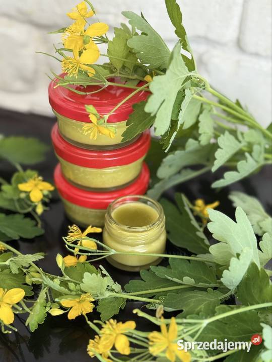 Maść z glistnika jaskółcze ziele na enzemę lubelskie Puławy