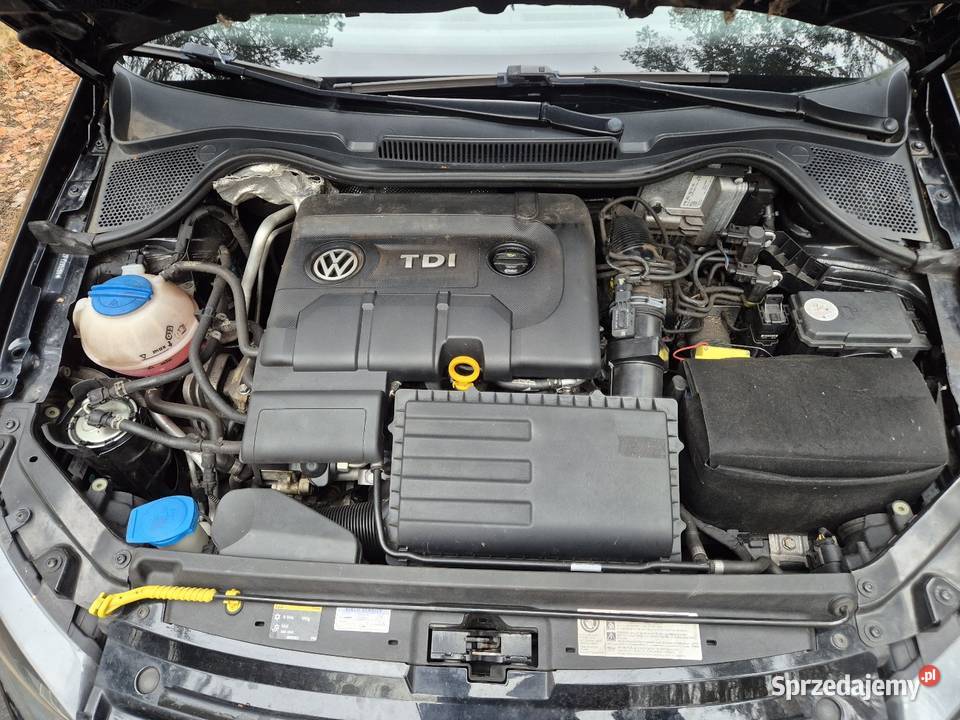 Volkswagen Polo BlueMotion 14 TDI 2015r Polo Skierniewice