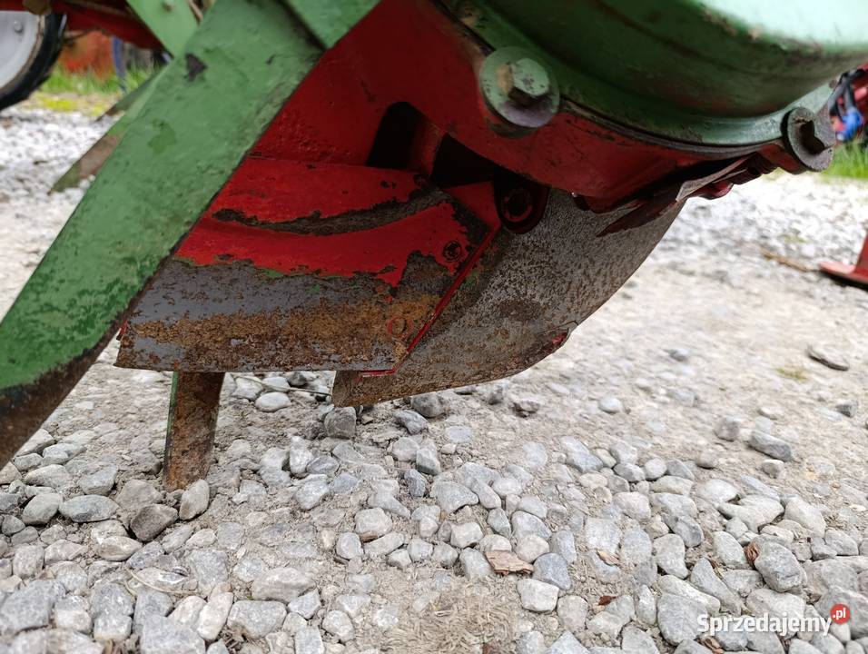 Siewnik hassia do kukurydzy Tczów sprzedam