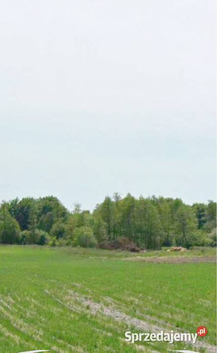 Działka Zamoście kolonia 042ha Zamoście-Kolonia