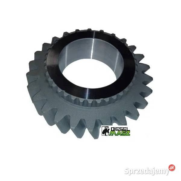 Koło zębate rewersu Massey Ferguson 305030603065 Zbuczyn