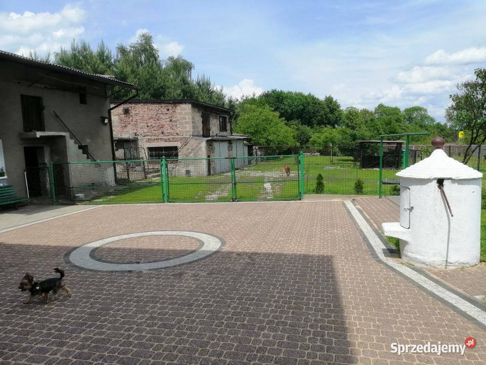 Sprzedam Dom w Sarnowie 200m2 Sarnów