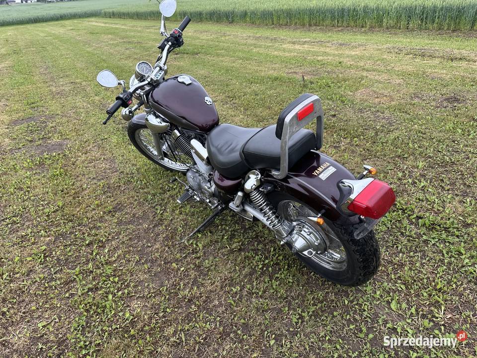 Yamaha virago 535 Pińczów sprzedam