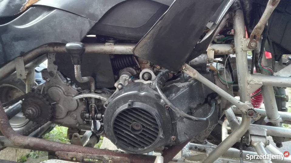 Kingway 250 automatyczna Gromadzice