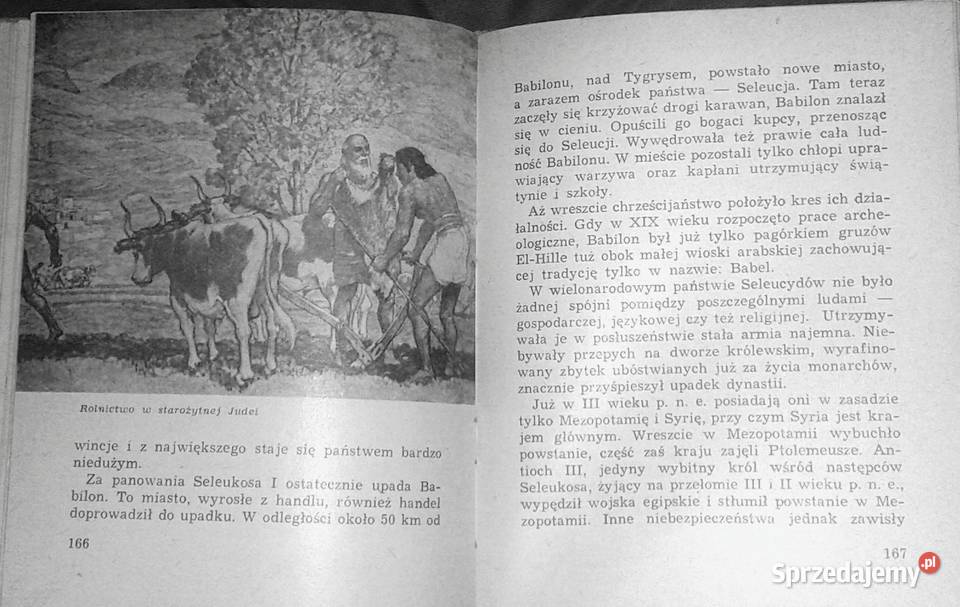 Dawny Babilon i współczesny Irak Jerzy Jan Chełm