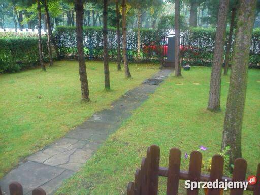 Sprzedam ogródek działkowy RODSielanka Bytom Bytom