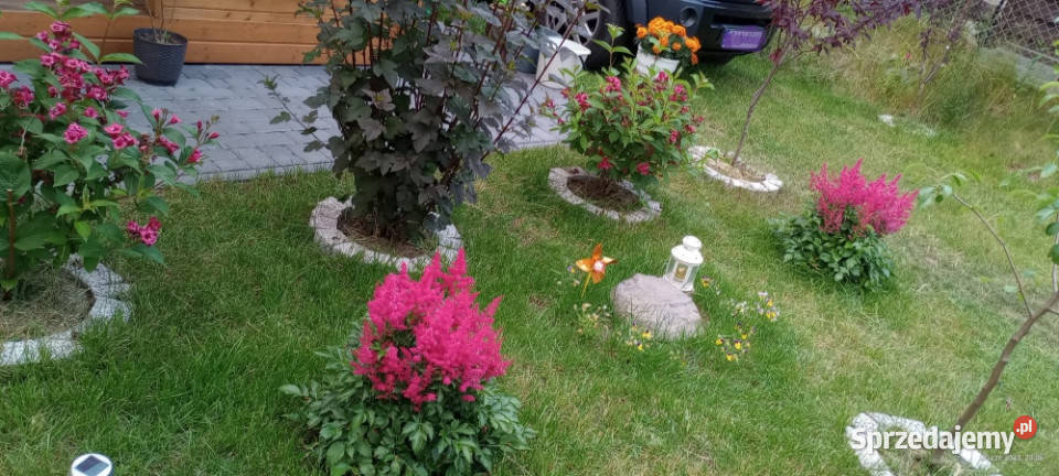 Wiktorowo działka budowlana siatka