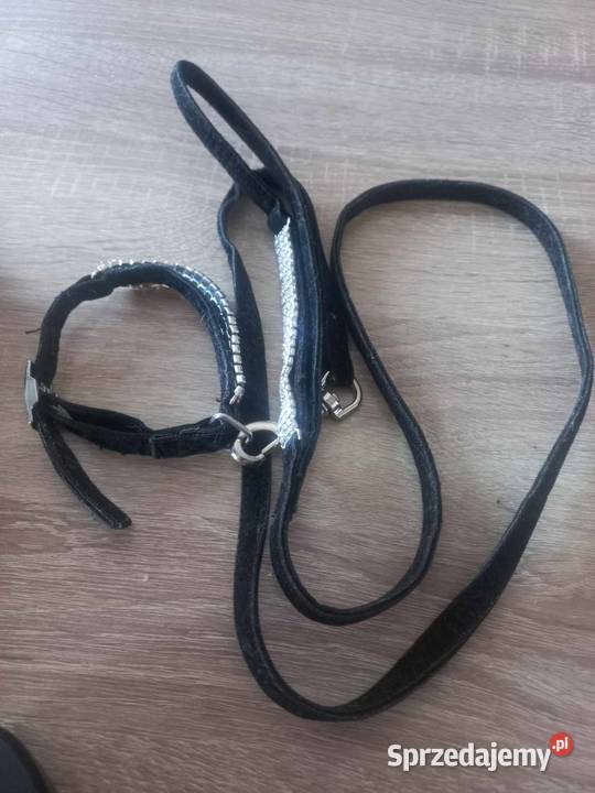 Nowa Czarna Smycz Regulowana Z Obrożką I Drezdenko