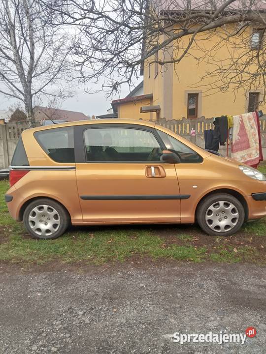 Peugeot 1007 poj1360 54kW paliwolpg Wola Mokrzeska
