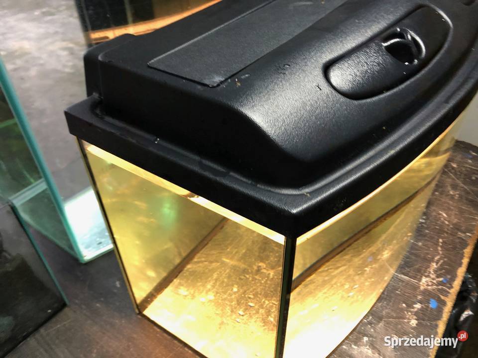 Akwarium panoramiczne 80 pokrywa oświetlenie Justynów