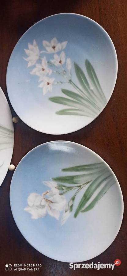 Talerz Rosenthal Sevres Sygnał Thomas Syg z Porcelana i szkło Gdańsk