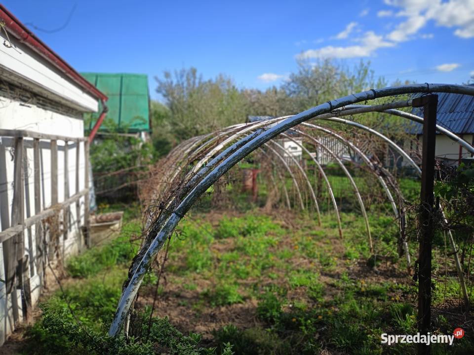 działka ogrodowa jeziorem Nysa Saperska 4 ary